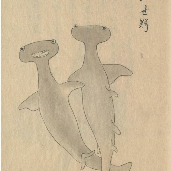 Meet your Posher, Catherine - Picture 1 of 1